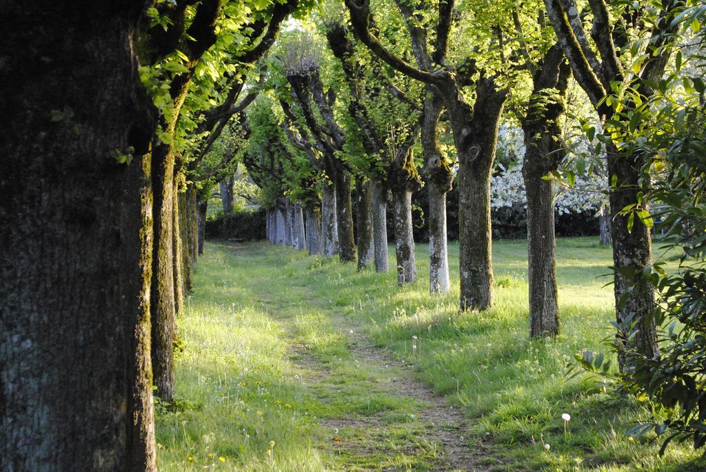 Eco-Gite - Domaine De La Gavolerie Bessé-sur-Braye 外观 照片
